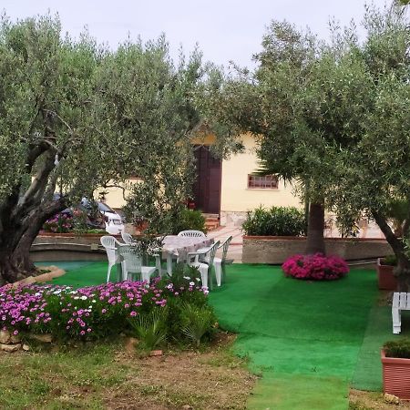 Casanonnavittoria Bed and Breakfast Terrasini Εξωτερικό φωτογραφία