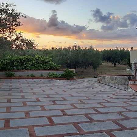 Casanonnavittoria Bed and Breakfast Terrasini Εξωτερικό φωτογραφία