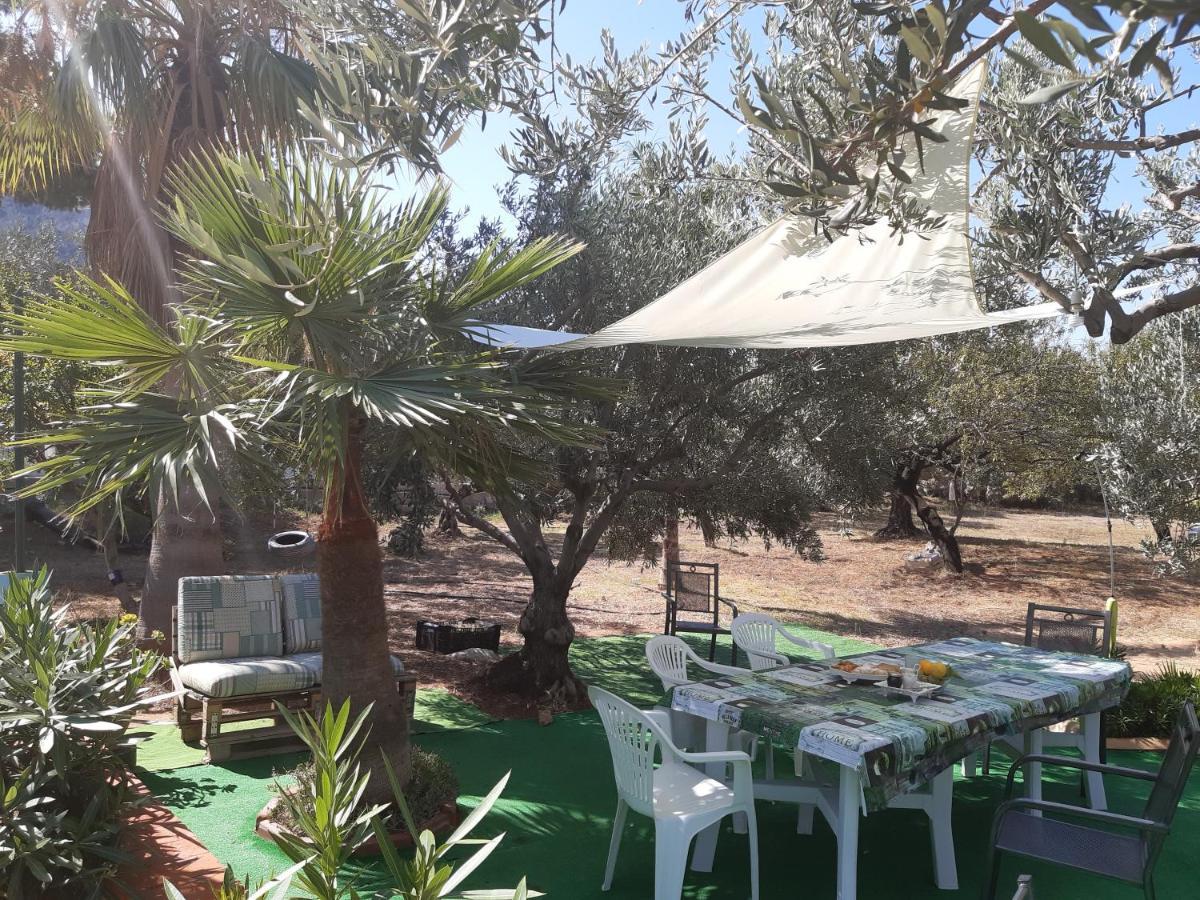 Casanonnavittoria Bed and Breakfast Terrasini Εξωτερικό φωτογραφία