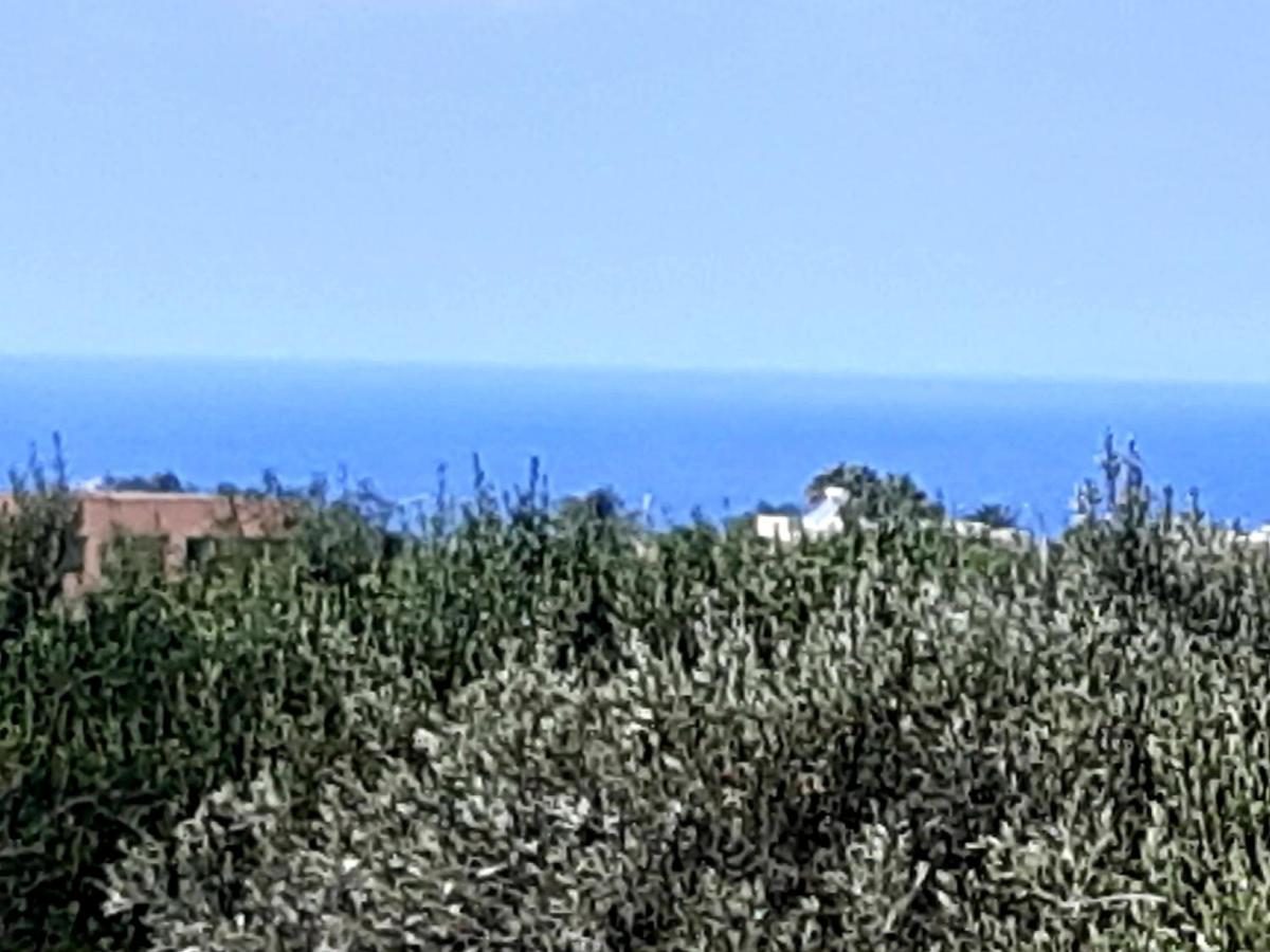 Casanonnavittoria Bed and Breakfast Terrasini Εξωτερικό φωτογραφία
