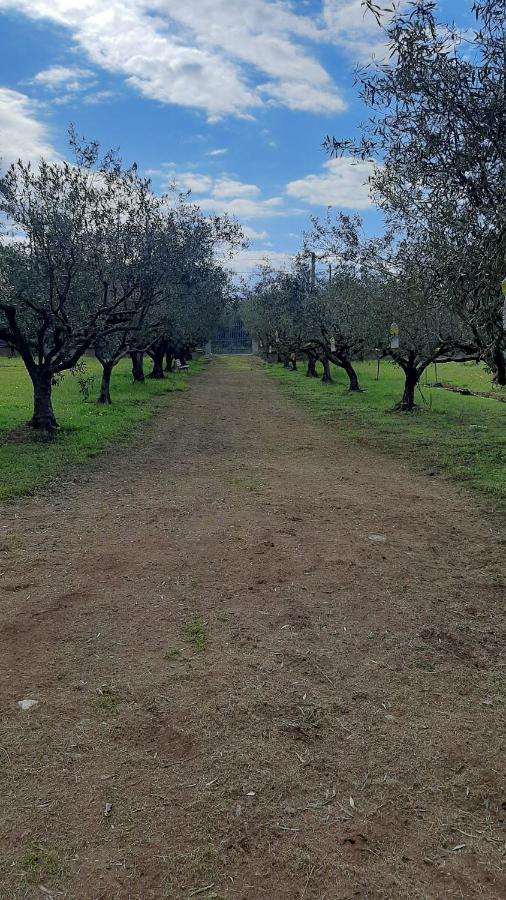 Casanonnavittoria Bed and Breakfast Terrasini Εξωτερικό φωτογραφία